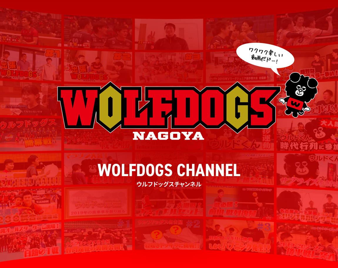 WOLFDOGS CHANNEL