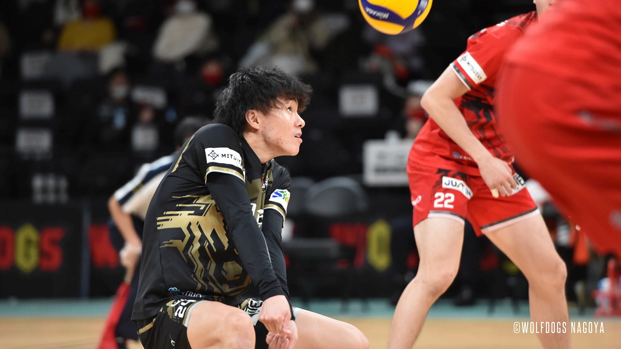 21 V League 第戦 Vsジェイテクトstings 豊田合成記念体育館 エントリオ ウルフドッグス名古屋 オフィシャルサイト ギャラリー 21 V League 第戦 Vsジェイテクトstings 豊田合成記念体育館 エントリオ ウルフドッグス名古屋 オフィシャルサイト ギャラリー
