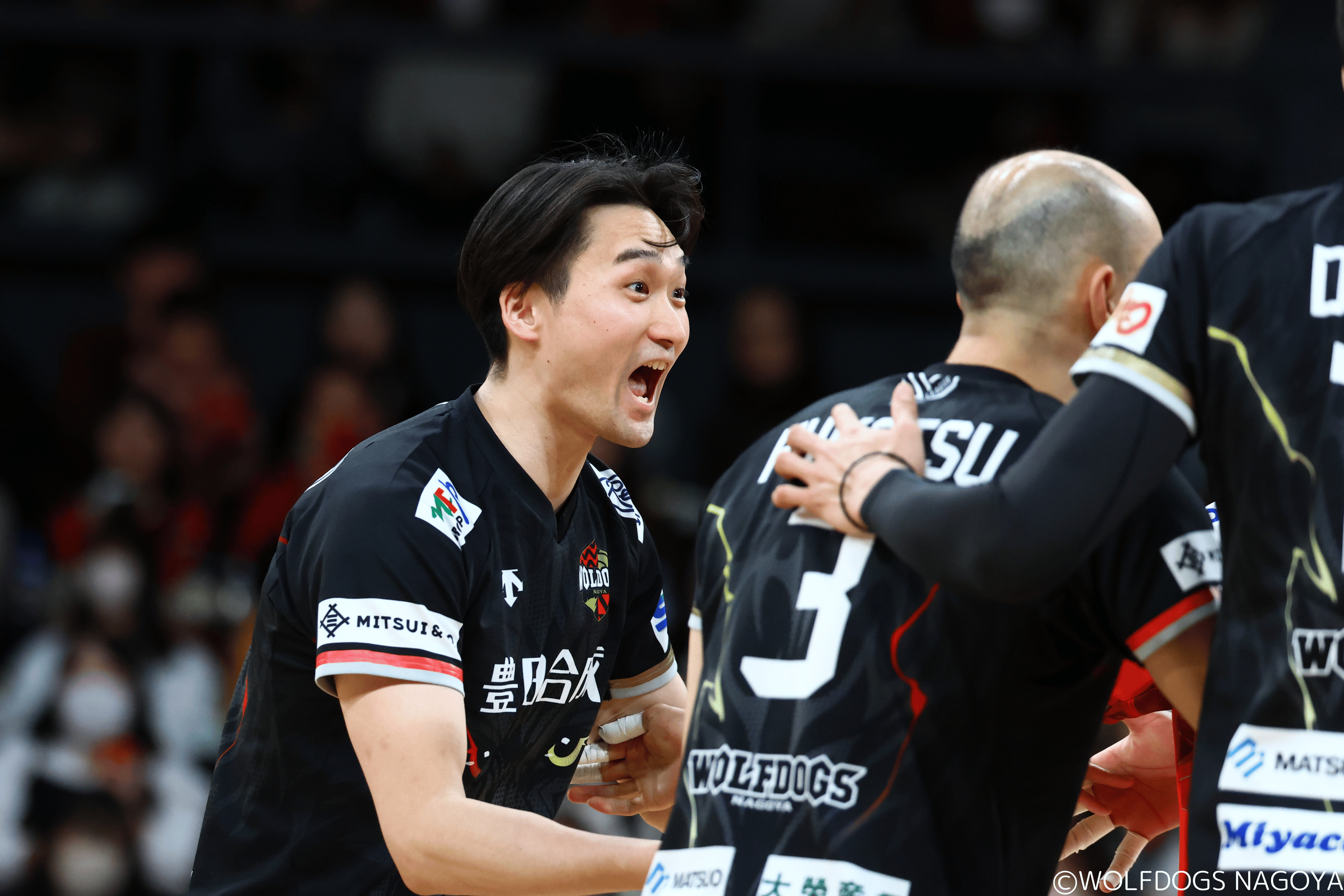 ウルフドッグス名古屋 オフィシャルサイト | ギャラリー