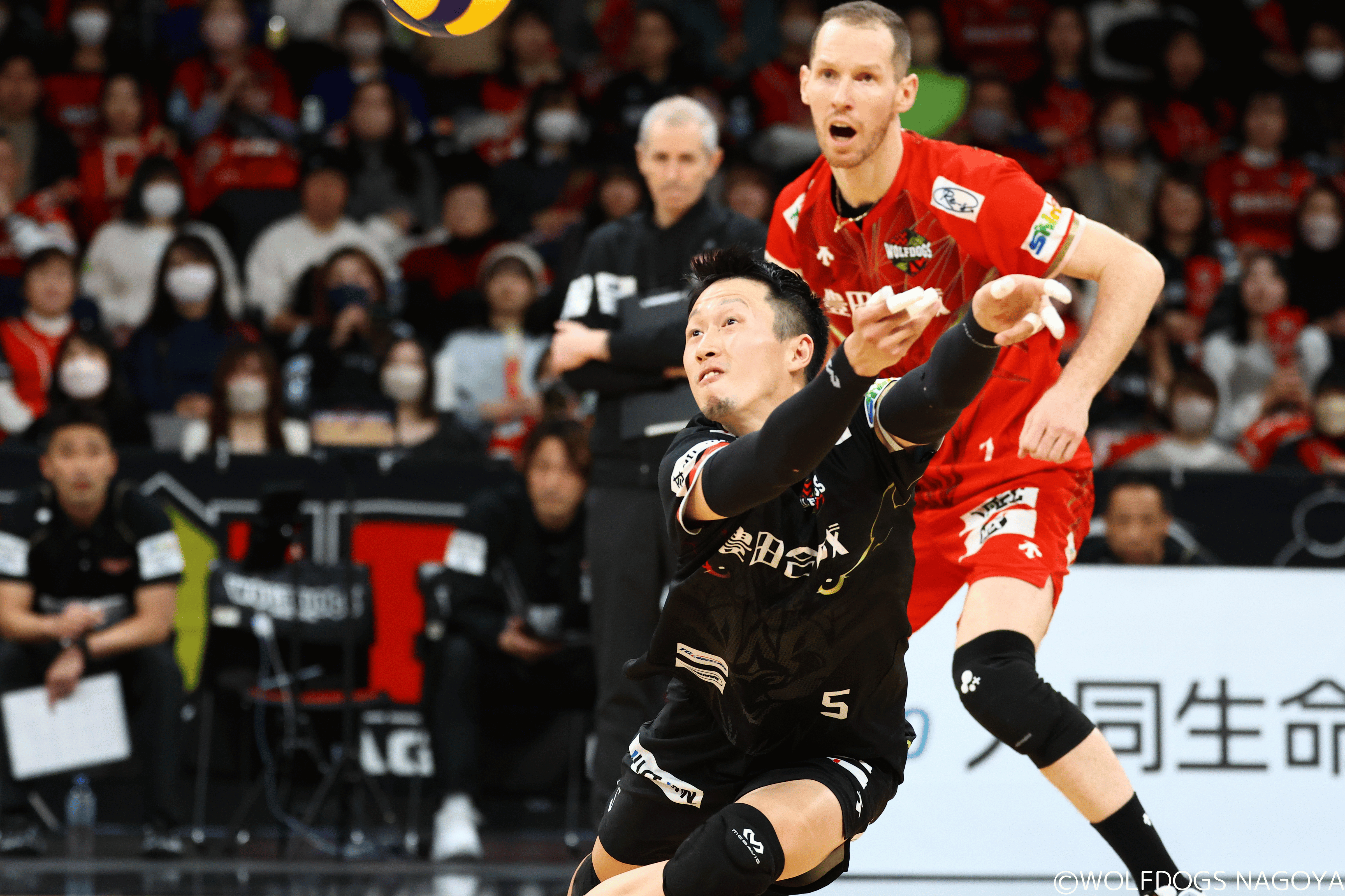 2024-25 大同生命SV.LEAGUE 第24戦 vsジェイテクトSTINGS愛知