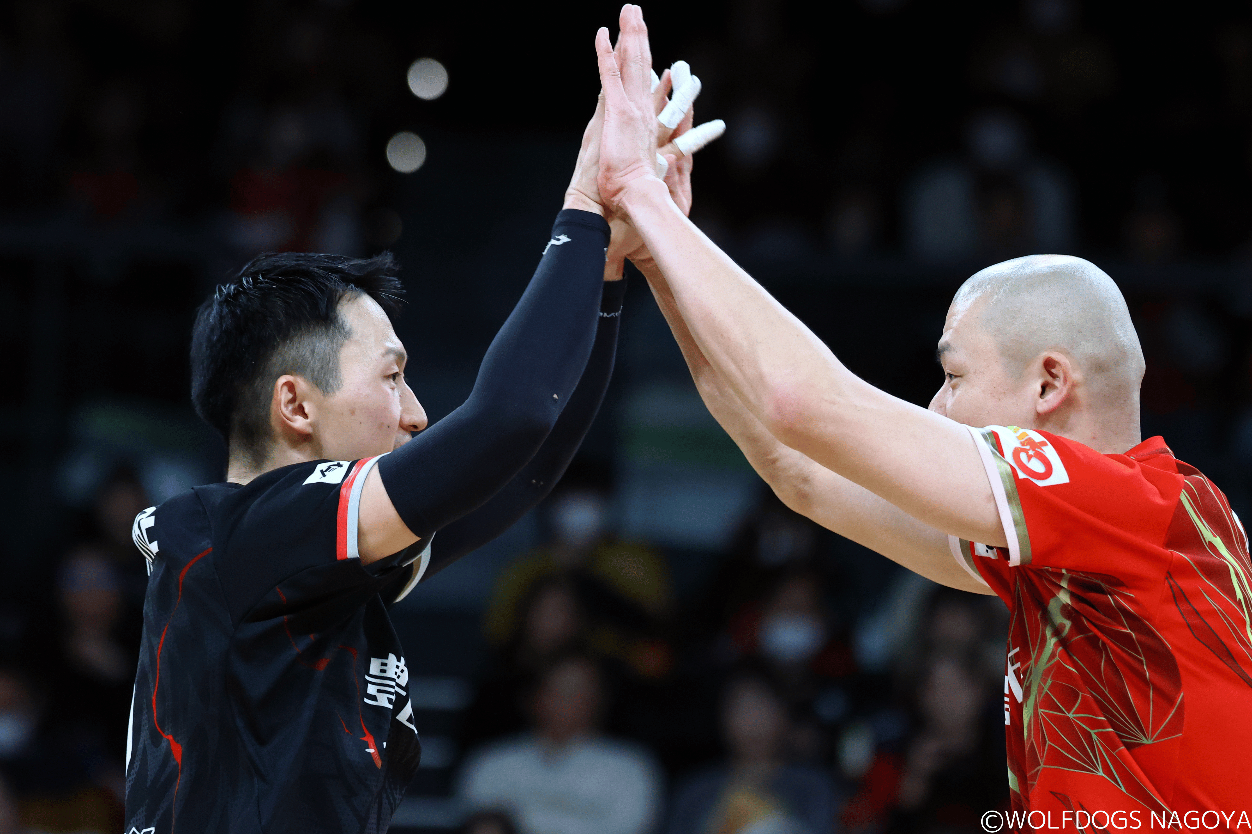 ウルフドッグス名古屋 オフィシャルサイト | ギャラリー