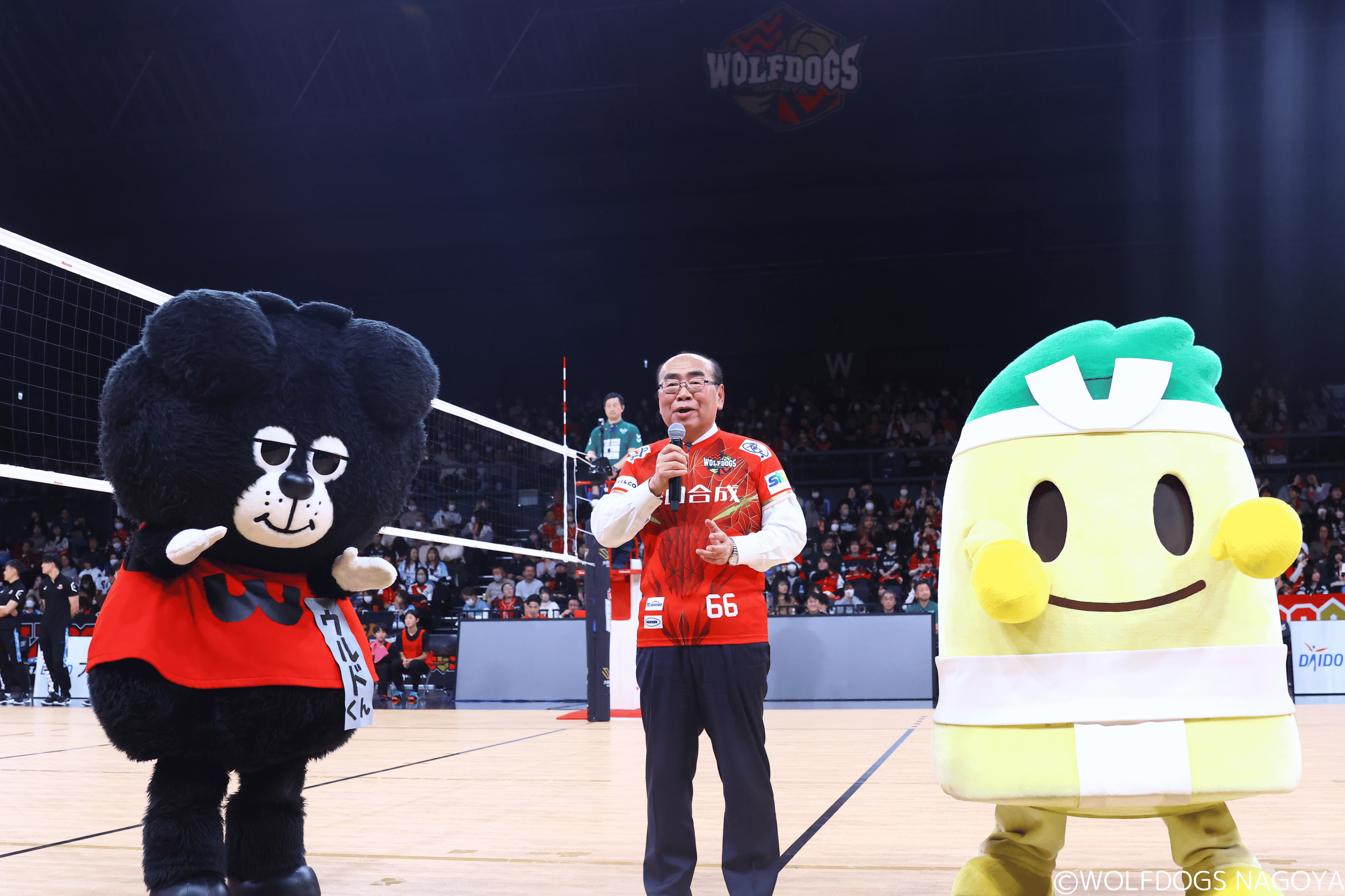 2024-25 大同生命SV.LEAGUE 第27戦 vs東レアローズ静岡 @豊田